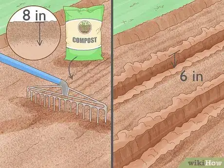 Image intitulée Grow Leeks Step 3