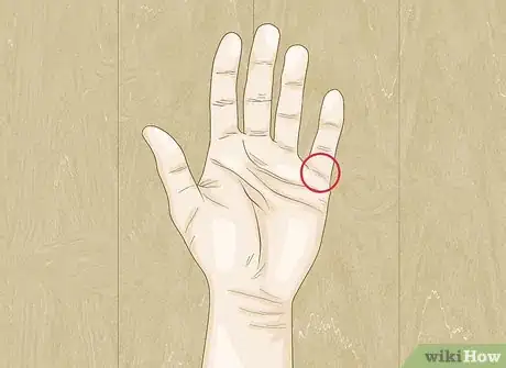 Image intitulée Do a Modern Palm Reading Step 3Bullet4