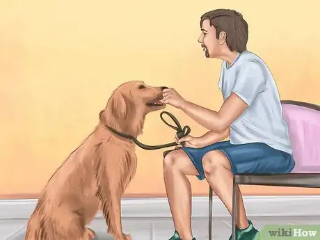 Image intitulée Calm Down a Playful Large Dog Step 8
