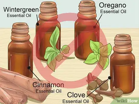 Image intitulée Calm Your Cat with Aromatherapy Step 7