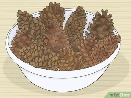 Image intitulée Preserve Pinecones Step 1