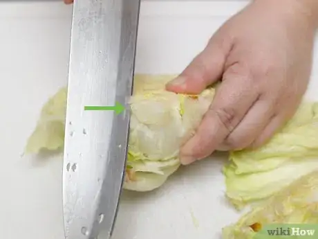 Image intitulée Shred Lettuce Step 9