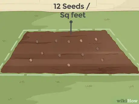 Image intitulée Grow Ginseng Step 15