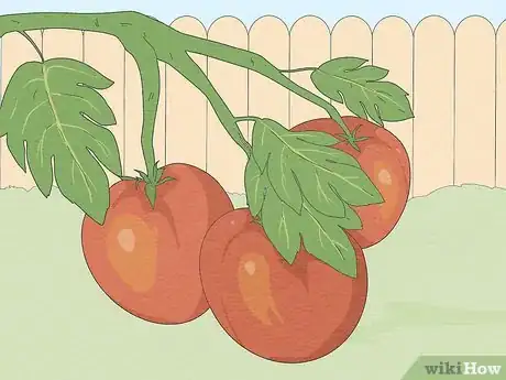 Image intitulée Reduce Acne Using Tomatoes Step 1