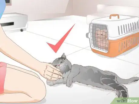 Image intitulée Get Rid of Cat Spray Odor Step 12