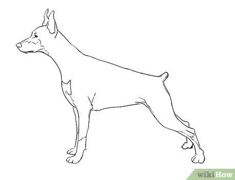 Image intitulée Draw a Realistic Dog Step 4