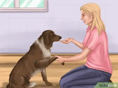 Image intitulée Calm Down a Playful Large Dog Step 5