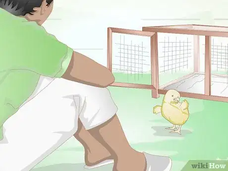 Image intitulée Care for a Chick Step 12