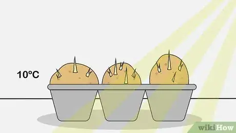 Image intitulée Chit Potatoes Step 5