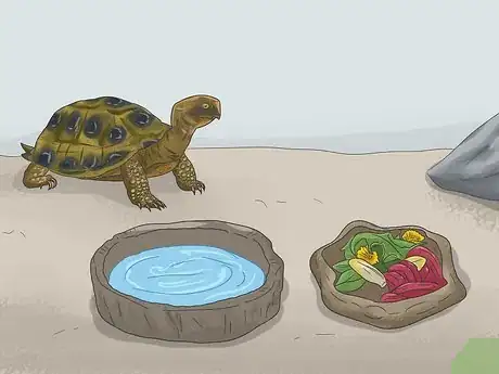 Image intitulée Make A Habitat for Hermann’s Tortoises Step 12