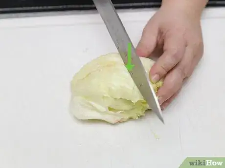 Image intitulée Shred Lettuce Step 4