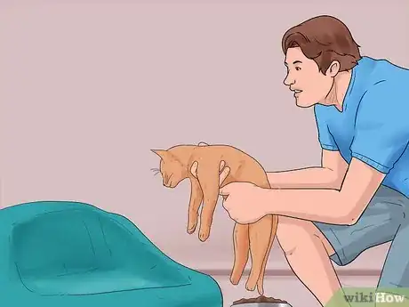 Image intitulée Bring a Second Cat Into the Family and Not Make Your Old Cat Upset Step 13