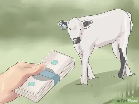 Image intitulée Have a Pet Cow Step 7