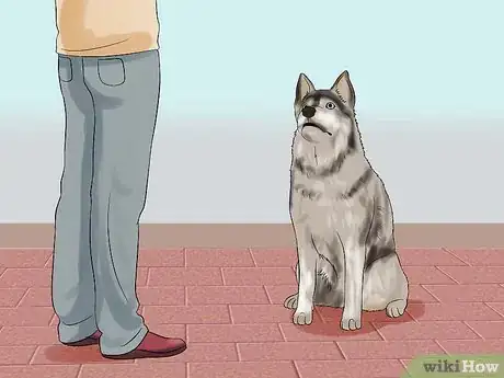 Image intitulée Teach Your Dog to Play Dead on Command Step 4