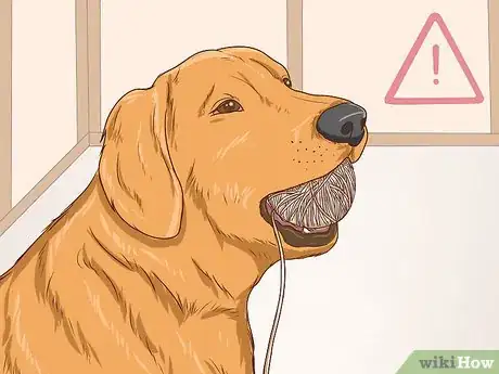 Image intitulée Help a Dog Pass an Obstruction Step 3