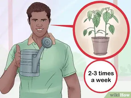 Image intitulée Take Care of Plants Step 6