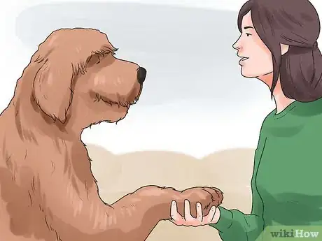 Image intitulée Teach Your Dog to Shake Hands Step 7