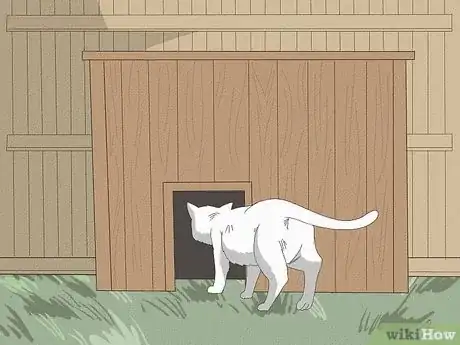 Image intitulée Keep a Cat from Running Away when It Is Moved Step 12