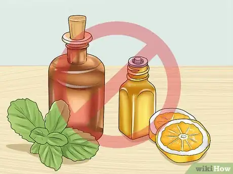 Image intitulée Calm Your Cat with Aromatherapy Step 9