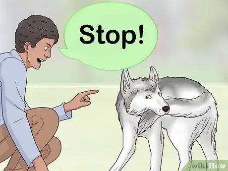 Image intitulée Stop a Dog from Biting Its Tail Step 12