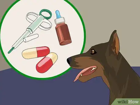 Image intitulée Help a Dog with Separation Anxiety Step 10