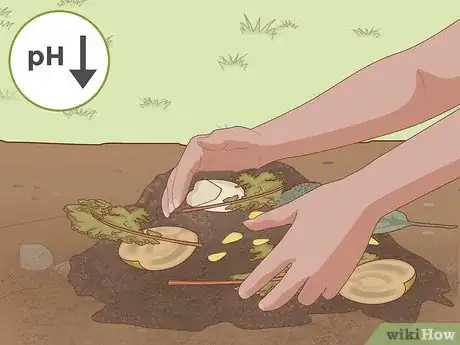 Image intitulée Lower Soil pH Step 6