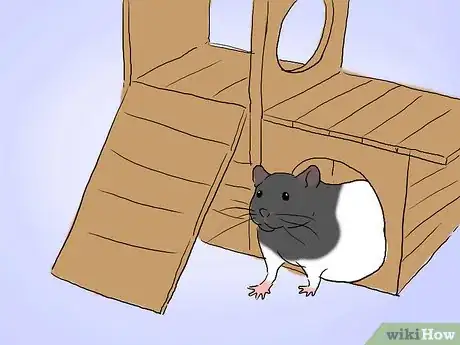 Image intitulée Tame a Rat Step 4