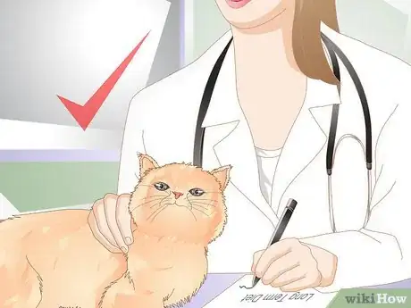 Image intitulée Help Your Cat Lose Weight Step 14