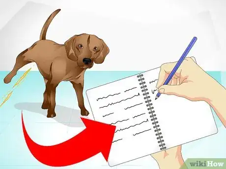 Image intitulée Care for a Sick Dog Step 1