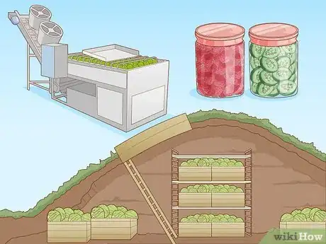 Image intitulée Grow Your Own Food Step 15