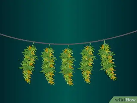 Image intitulée Grow Medical Marijuana Step 13