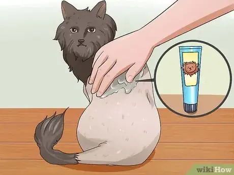 Image intitulée Shave a Cat Step 25