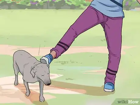 Image intitulée Handle a Dog Attack Step 6