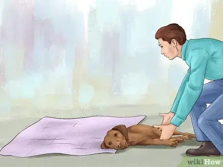 Image intitulée Carry an Injured Dog Step 5