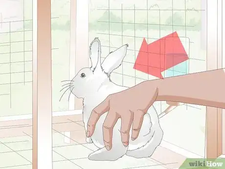 Image intitulée Hold a Rabbit Step 8