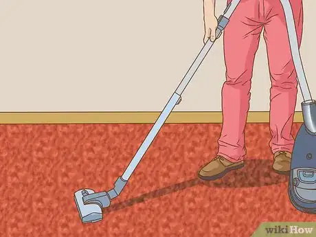 Image intitulée Deep Clean Carpet Step 3