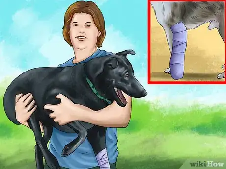 Image intitulée Carry an Injured Dog Step 2