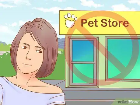Image intitulée Buy a Golden Retriever Puppy Step 4