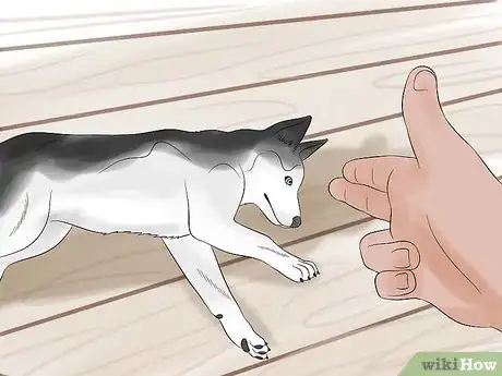 Image intitulée Teach Your Dog to Play Dead on Command Step 20