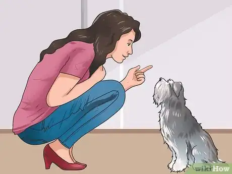 Image intitulée Build Trust with an Abused Dog Step 12