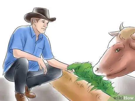 Image intitulée Start a Cattle Farm Step 10