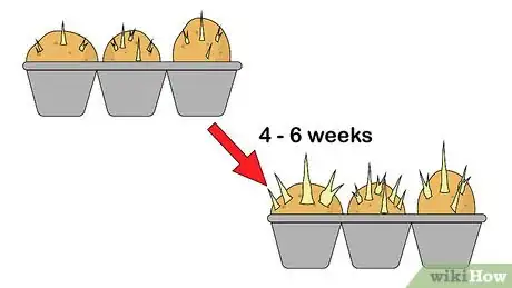 Image intitulée Chit Potatoes Step 6