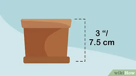 Image intitulée Grow Cress Step 7