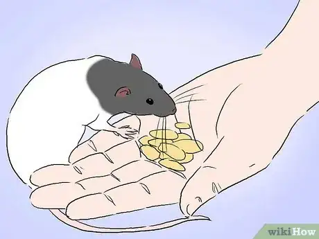 Image intitulée Tame a Rat Step 9