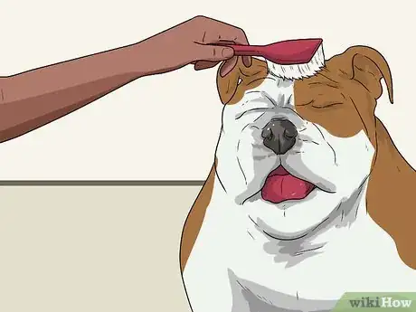 Image intitulée Gain a Dog's Trust Step 13