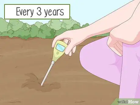 Image intitulée Improve Soil Step 22