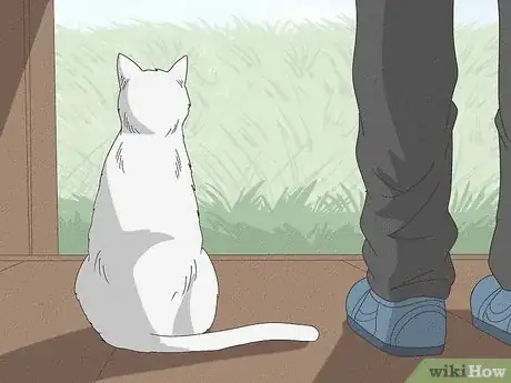 Image intitulée Keep a Cat from Running Away when It Is Moved Step 13