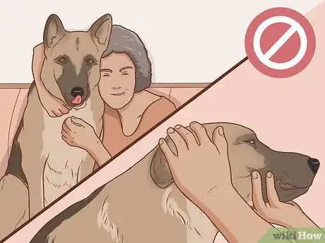 Image intitulée Communicate With Your Dog Step 16