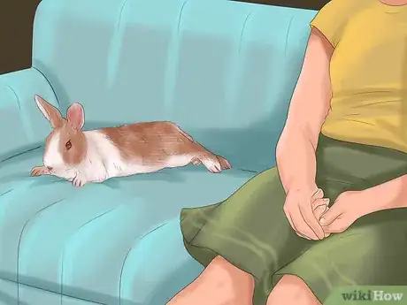 Image intitulée Raise a Lop Eared Rabbit As a Pet Step 16