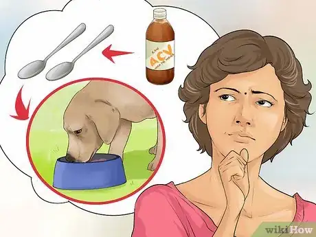 Image intitulée Use Apple Cider Vinegar for Dogs Step 5